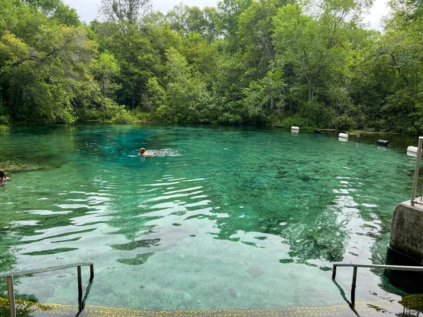 ゲインズビル Usa 2022年5月6日 晴れた日にフロリダ州の一タックニー州立公園の春 — ストック写真