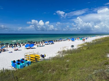 Watercolor, FL USA - July 25, 2022:  An aerial view of the Beach with Blue Umbrella and Lounge Chairs lined up at the Watercolor Community Club in Watercolor, Florida.