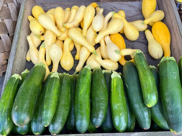 Colorful zucchini and yellow squash at a fruit and vegetable stand in Orlando, Florida.