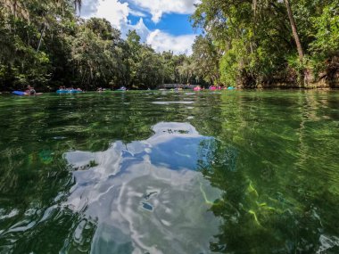 Orlando, FL USA - 5 Ağustos 2022: Florida 'daki Blue Springs Eyalet Parkı' nda insanlar yüzüyor.