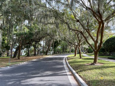 Orlando, Florida 'da ağaçlarla kaplı İspanyol yosunlarıyla dolu bir sokak..