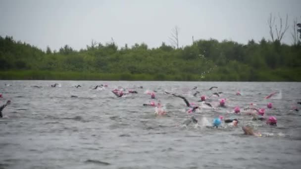 Atleti in muta competono nel nuoto — Video Stock