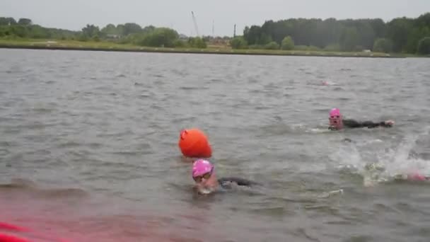 Sportovci v neoprénech soutěžit v plavání — Stock video