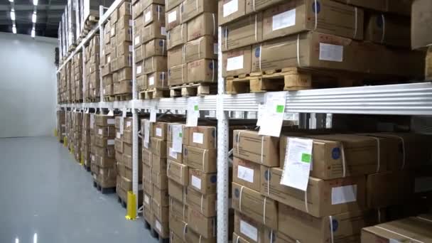 Wnętrze centrum logistycznego pełne regałów — Wideo stockowe