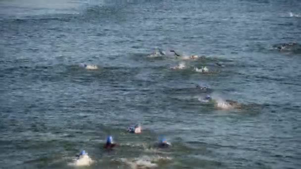 Triathlonwettkampfschwimmkurs im kalten Wasser — Stockvideo