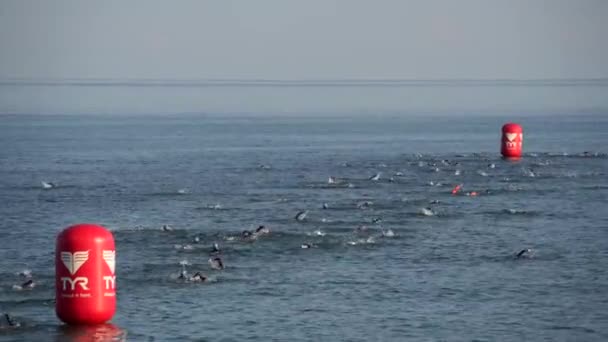 Triathlon competition swim course in cold water — Stock Video