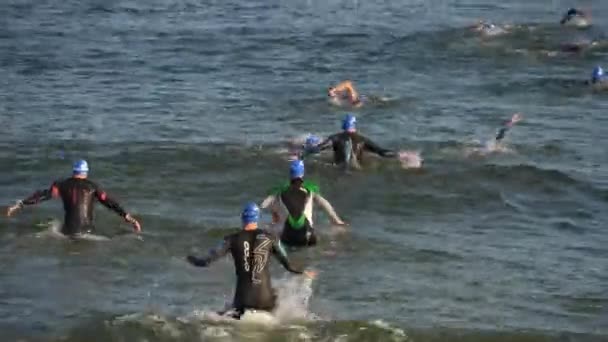 Start des Schwimmkurses bei Triathlonveranstaltung — Stockvideo