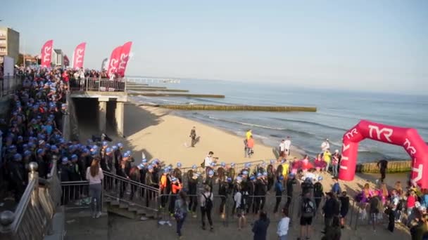 Inizio del corso di nuoto all'evento di triathlon — Video Stock