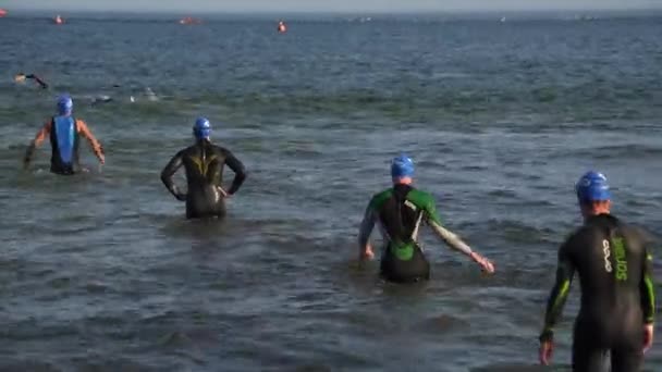 Inicio del curso de natación en el evento de triatlón — Vídeos de Stock