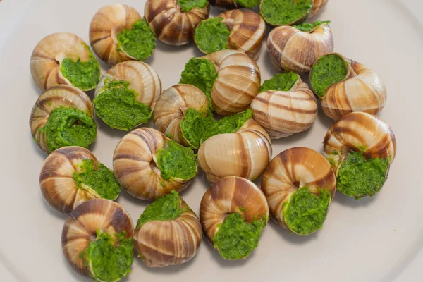 Escargot in a shell stuffed with herbs