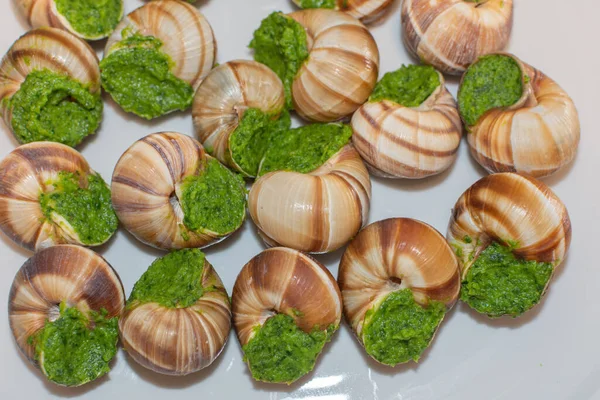 Escargot in a shell stuffed with herbs