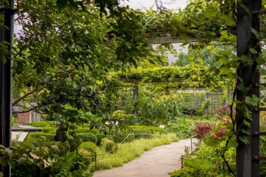 Brooklyn, NY, USA - July 23, 2019: Brooklyn Botanic Garden
