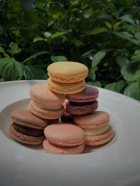 Fransız badem kurabiyesi, yumurta beyazı, krema şekeri, granüllü şeker, badem yemeği ve gıda boyasıyla yapılan tatlı bir krema bazlı şekerdir..