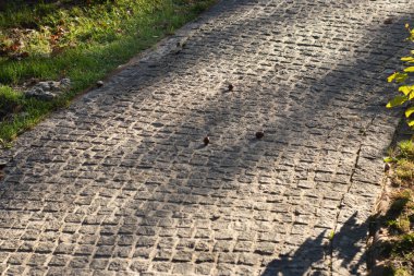 Obblestone Yolu. Park yolu kare granit taşlarla kaplı.