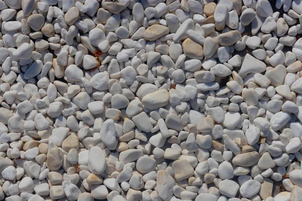 White Pebbles Stones Background Overhead View — Stock Photo, Image
