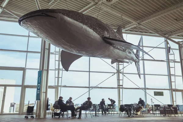 2022年2月デンマーク グレナハン水族館で巨大な装飾ジンベイザメ — ストック写真