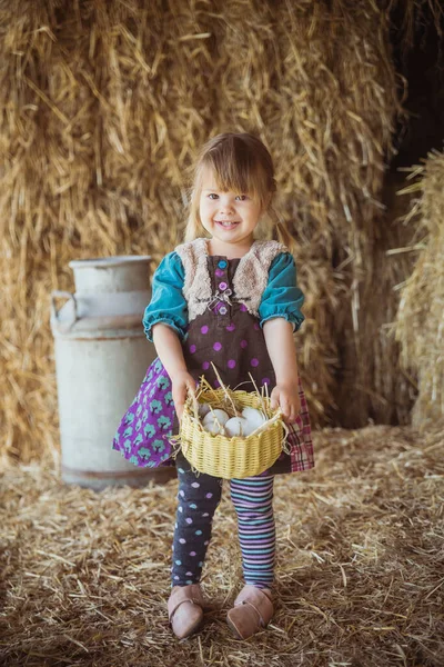 Чарівна дитина збирає курячі яйця в кошику в сараї — стокове фото