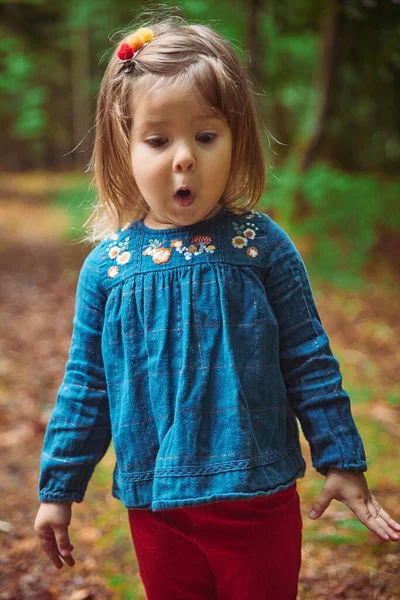 Красива Дитина Вишитій Сорочці Грає Лісі — стокове фото