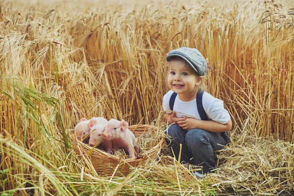 Adorable baby with newborn piglets in the field. Retro photo.