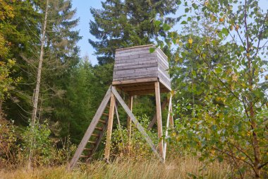 Danimarka 'da ormandaki avcılar için kule.