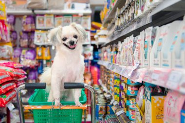 Bangkok, Tayland - 8 Nisan 2017: Köpek o kadar şirin ki, bir hayvan sahibinin, petshop 'taki çeşitli aksesuarlardan ya da evcil hayvan ürünleri raflarından her gün servis için hayvan yiyeceği seçerek alışveriş yapmasını bekleyin..