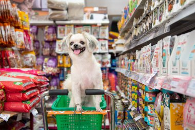 Bangkok, Tayland - 8 Nisan 2017: Köpek o kadar şirin ki, bir hayvan sahibinin, petshop 'taki çeşitli aksesuarlardan ya da evcil hayvan ürünleri raflarından her gün servis için hayvan yiyeceği seçerek alışveriş yapmasını bekleyin..