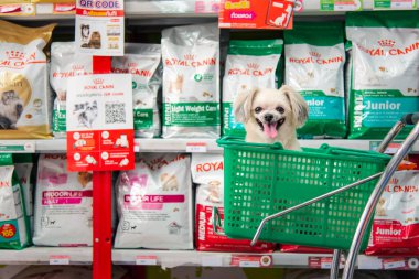 Bangkok, Tayland - 8 Nisan 2017: Köpek o kadar şirin ki, bir hayvan sahibinin, petshop 'taki çeşitli aksesuarlardan ya da evcil hayvan ürünleri raflarından her gün servis için hayvan yiyeceği seçerek alışveriş yapmasını bekleyin..