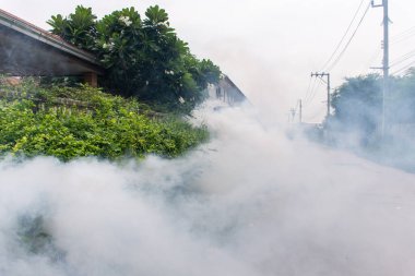 Bangkok, Tayland - 3 Temmuz 2016: Sivrisinekler için DDT spreyi kullanan tanımlanamayan kişiler, Malaria, Ensefalit, Dang ve Zika virüslerini kontrol ederek öldürüyorlar..
