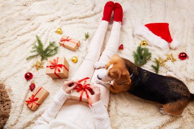 Kız bir hediye kutusu tutuyor ve bir av köpeğini okşuyor. Yatağın üzerinde Noel Baba şapkası, Noel süsleri, parlak ışıklar var. Evde rahat bir Noel..
