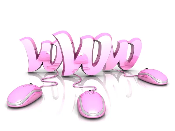 3d illustration of computer mouses and text 'www' — Stock fotografie