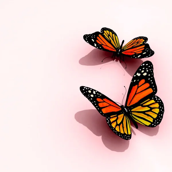 彩色的蝴蝶 — 图库照片