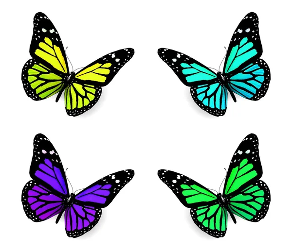 Mariposas coloridas — Foto de Stock