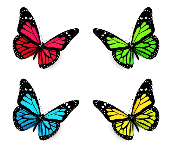 Mariposas coloridas — Foto de Stock