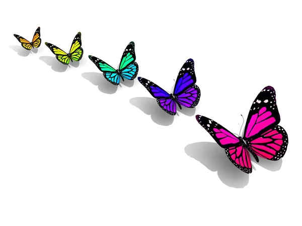 Koncepce designu barevné motýly — Stock fotografie