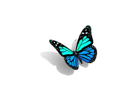 beyaz izole kelebek.