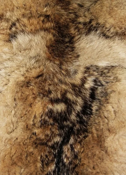 Animal fur. Use for texture or background. — Stock Photo, Image