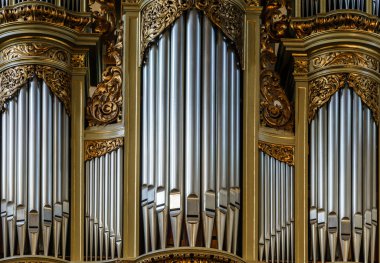 altınları ile süslenmiş güzel eski organ