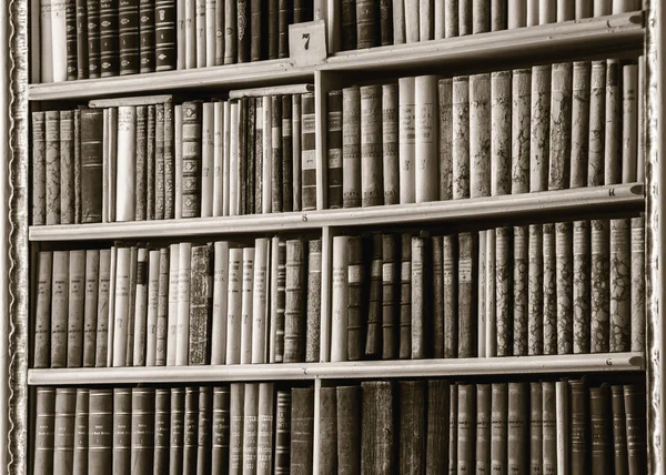 Gran biblioteca más grande de la antigua abadía — Foto de Stock