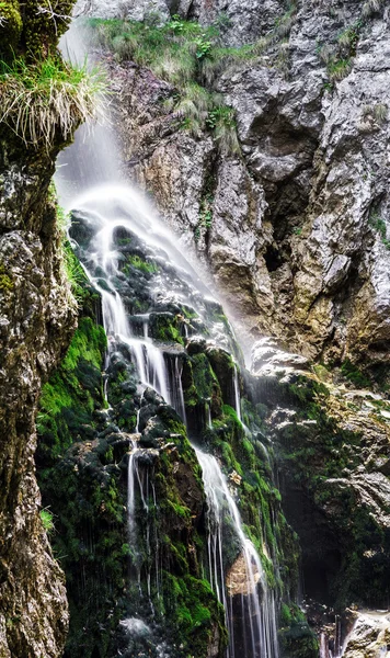 Avusturya Alpleri'nde güzel şelale — Stok fotoğraf