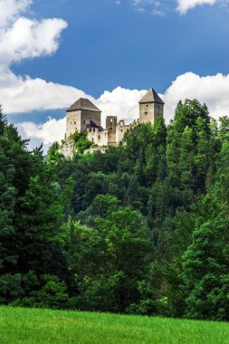 Avusturya eski ortaçağ kalesi gallenstein