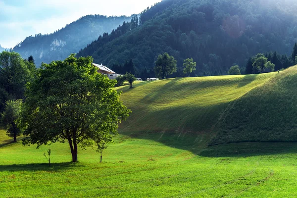 Shtiria、オーストリア、夏の山 — ストック写真