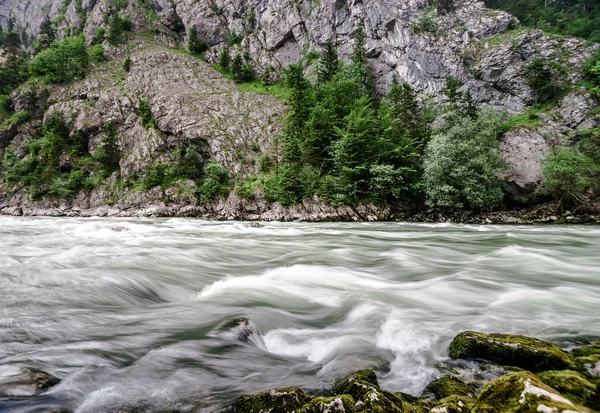 Fast mountains stream — Stock Photo, Image