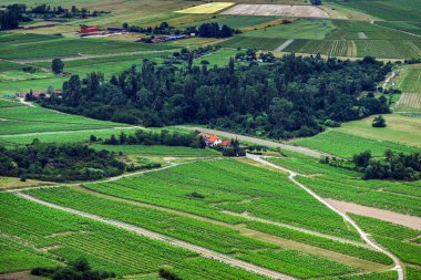 panoramik kuş uçmak görünümü alsace için
