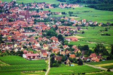 panoramik kuş uçmak görünümü alsace için