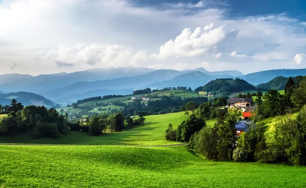 Grønne gressbølger i austrianåkeren – stockfoto