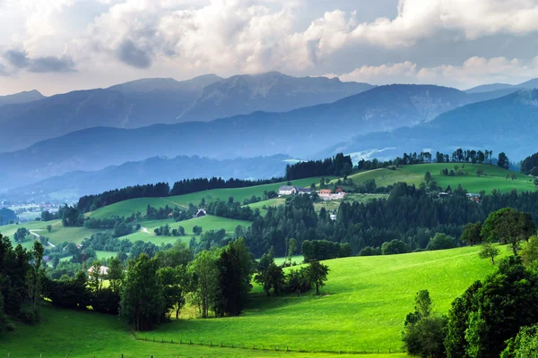 Ondas de grama verde no campo austríaco — Fotografia de Stock