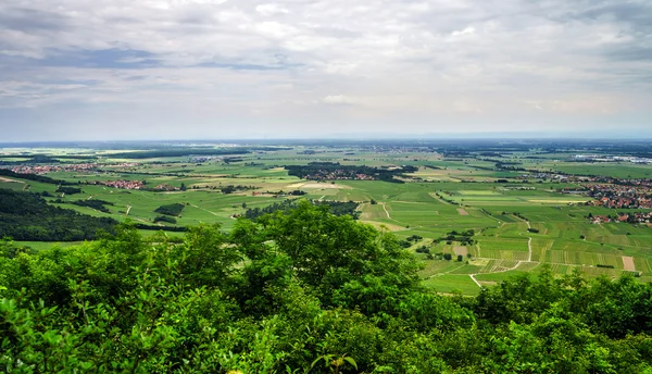 Vista dell'Alsazia dalla cima della collina — Foto Stock