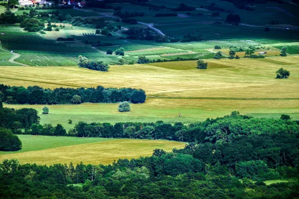 Panoramautsikt över fågeln flyga Visa till alsace — Stockfoto