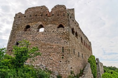 alsace içinde eski ortaçağ kalesi ortenbourg