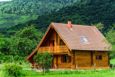 alsace içinde güzel parlak yeşil alanlar